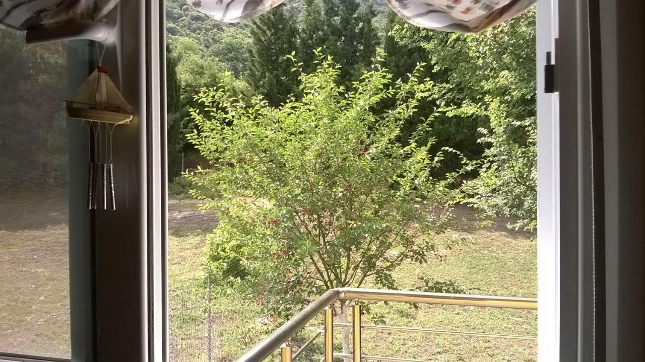 Martha'S Villa Nea Iraklitsa Buitenkant foto