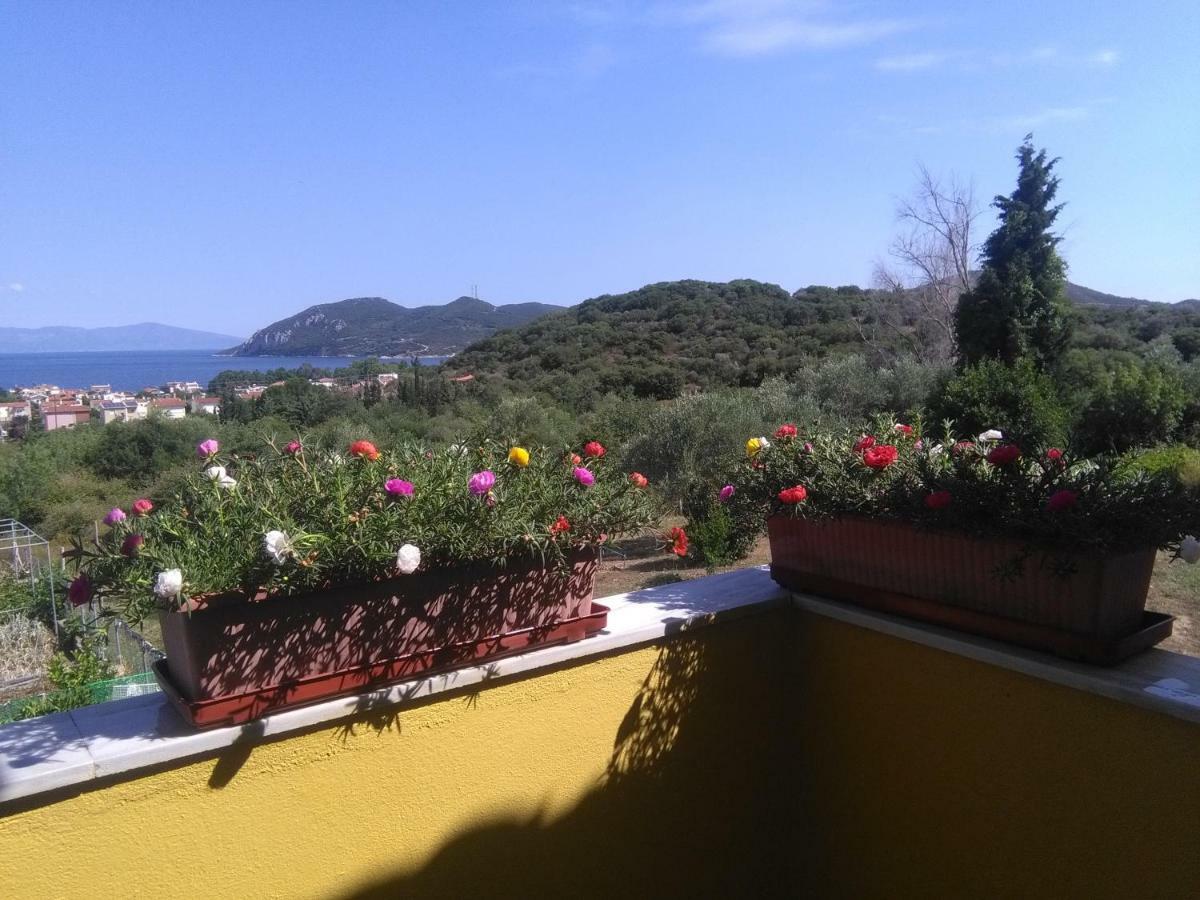 Martha'S Villa Nea Iraklitsa Buitenkant foto